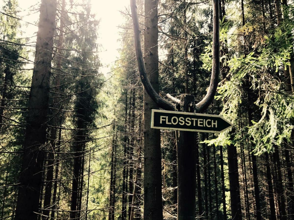 Flair-Hotel Waldfrieden Oberweißbach Eksteriør bilde
